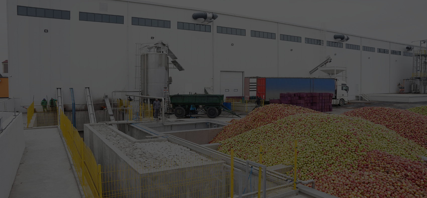 Frutena Products